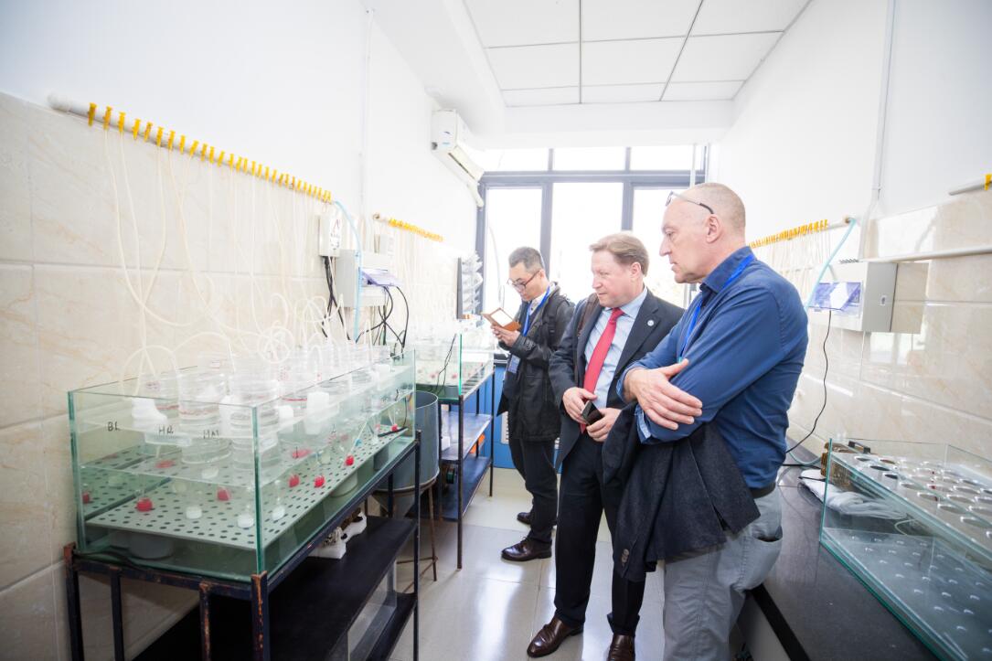 Halwart博士一行参观亚洲区域卤虫参考中心实验室